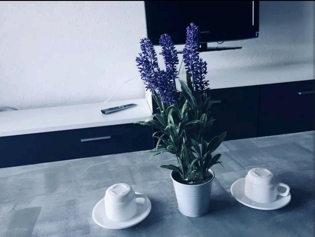 Bonito Apartamento Cerca De La Playa 萨洛 外观 照片